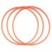 ISB5.0能量腳環-霓虹橘